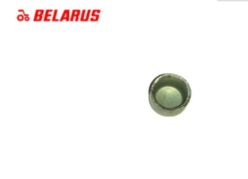 ZAŚLEPKA WAŁU KORBOWEGO 501005021-A.JPG