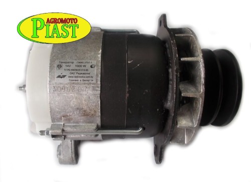 ALTERNATOR 1000W NA 2 PASKI G9673701.jpg
