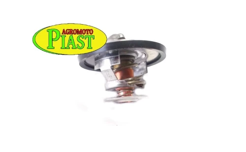 TERMOSTAT MTZ320 1049195073.JPG